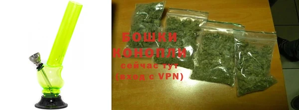 прущие грибы Верхнеуральск