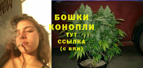 соль ск Бородино