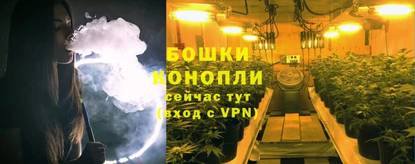 ГАЛЛЮЦИНОГЕННЫЕ ГРИБЫ Верхний Тагил